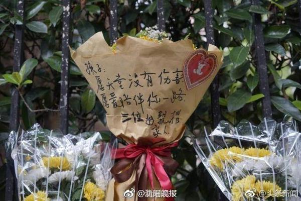 张云松、霍楠等多位球队管理层人员观战CBA选秀训练营汇报赛